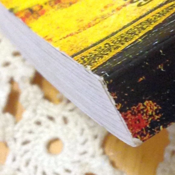 3 for $10 book sale! Christian Parenting - Godly Advice for Preteens - Picture 7 of 7